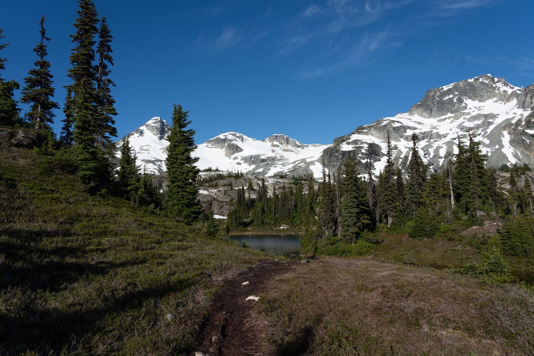 Alpine meadow below snowy peaks in British Columbia