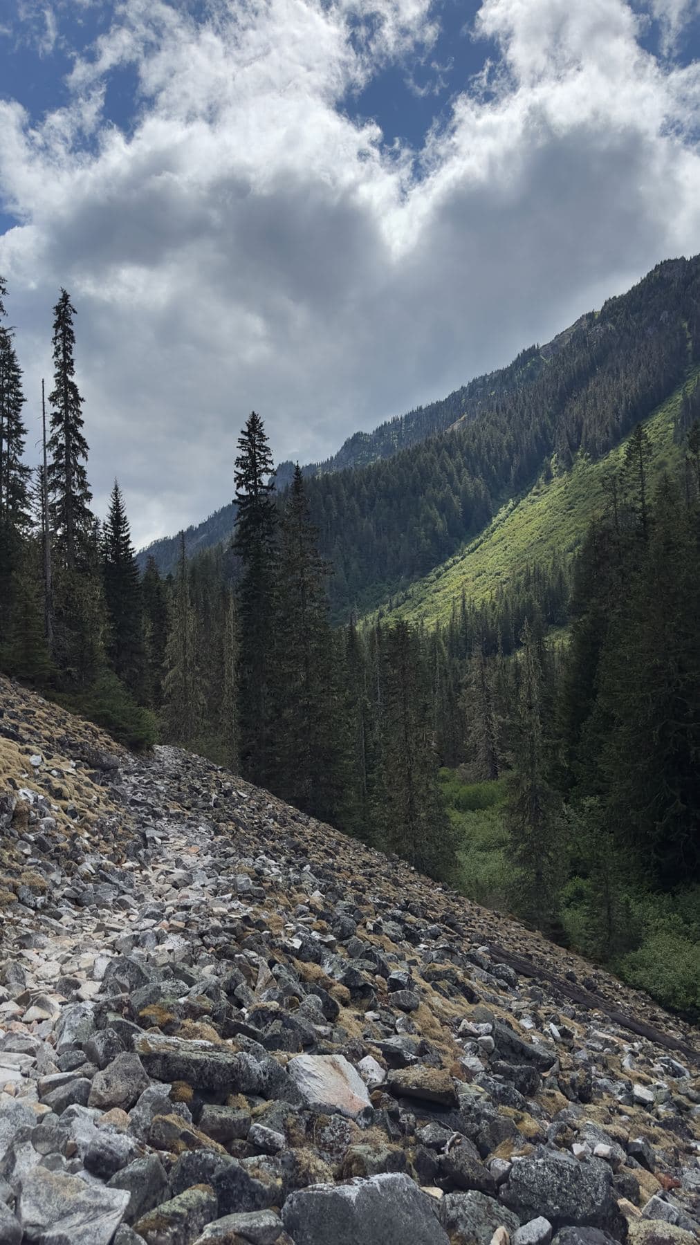 Boulder field below a forested ridge
